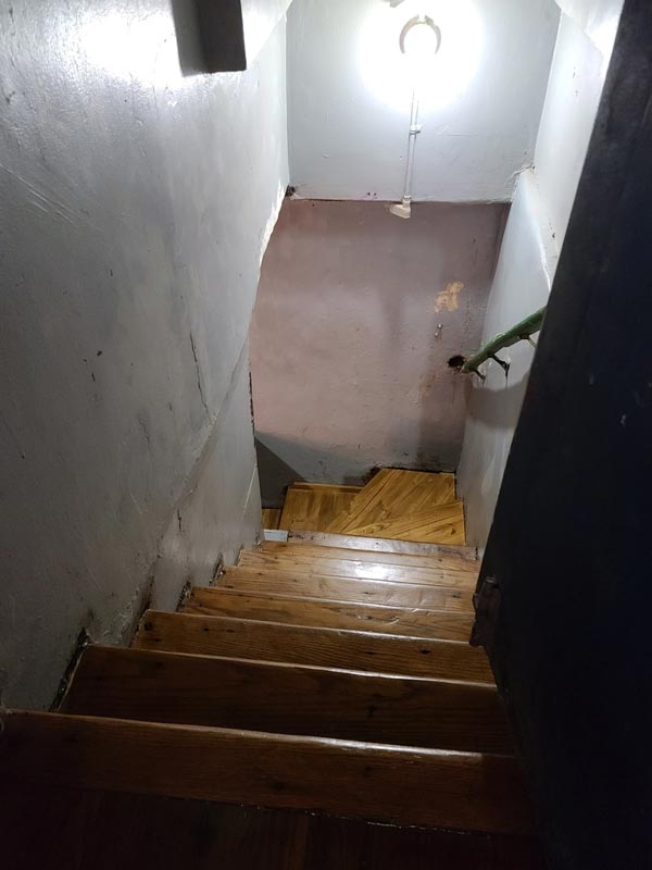 Finished basement stairs